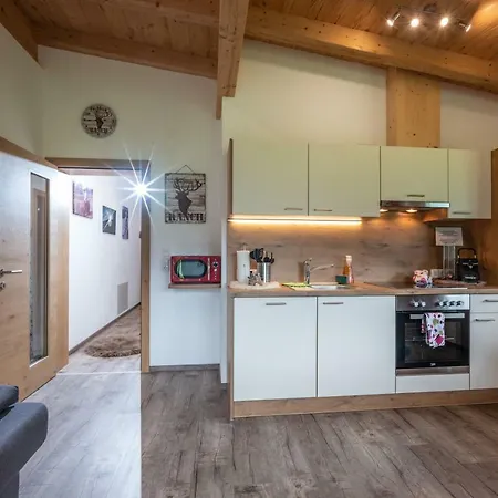 Alpinjuwel In Hippach Apartment Exterior photo